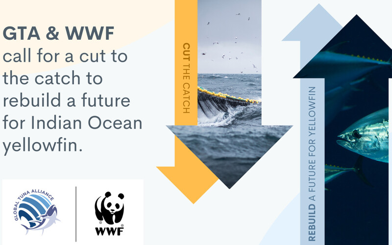 A Global Tuna Alliance and World Wildlife Fund joint initiative calling for a reduction in yellowfin catch