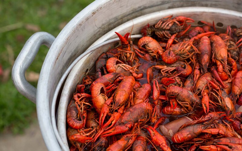 A pile of crawfish boiling in a pot