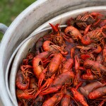 A pile of crawfish boiling in a pot