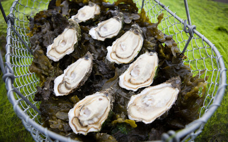 Bells Isle oysters
