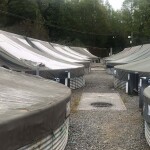 The Chesque Alto salmon farm currently being sanctioned by Chile's SMA