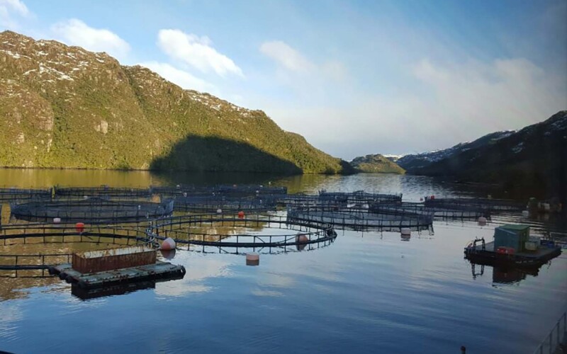 A Nova Austral fish farm