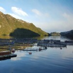 A Nova Austral fish farm