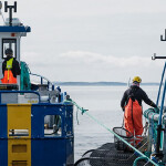 SalMar workers inspecting a net pen