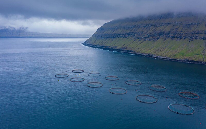 A fish farm in the Faroe Islands