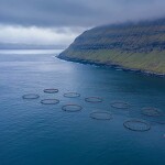 A fish farm in the Faroe Islands