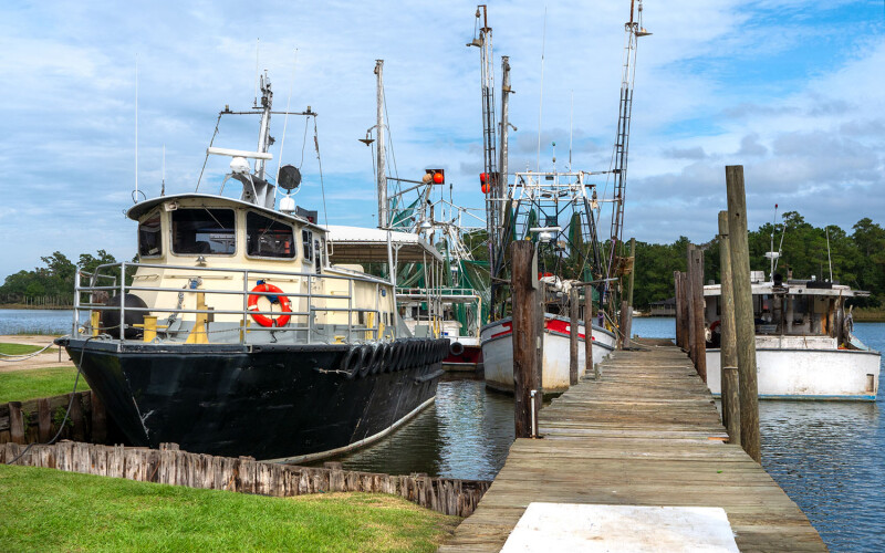 Fishing vessels docked in Alabama