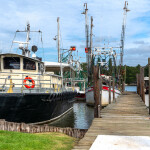 Fishing vessels docked in Alabama