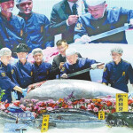A bluefin tuna cutting show during the 2023 Shenzhen International Fisheries and Seafood Expo