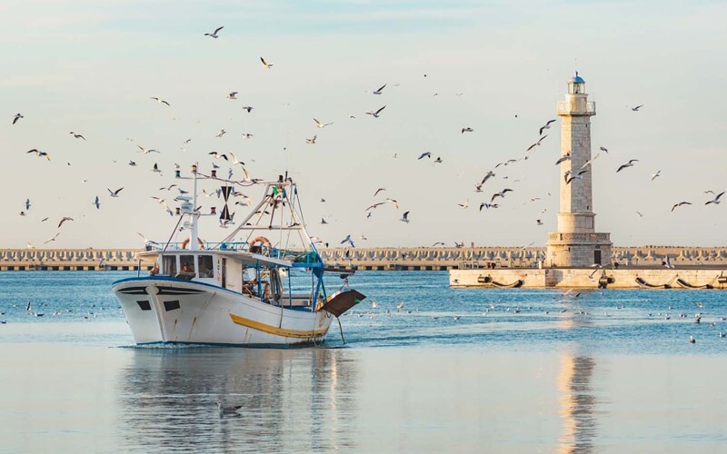 A fishing boat returns to port on the Adriatic Sea off the Italian city of Bari