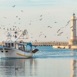 A fishing boat returns to port on the Adriatic Sea off the Italian city of Bari