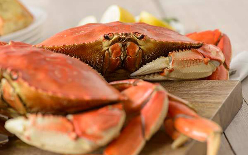 Cooked Dungeness crab