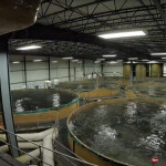The inside of AquaBounty's Indiana-based RAS facility