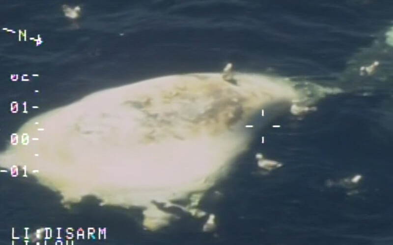 An aerial surveillance photograph of a dead North Atlantic right whale found off the coast of Nova Scotia, Canada