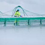 A Grieg employee working at a farm in the Norwegian region of Finnmark