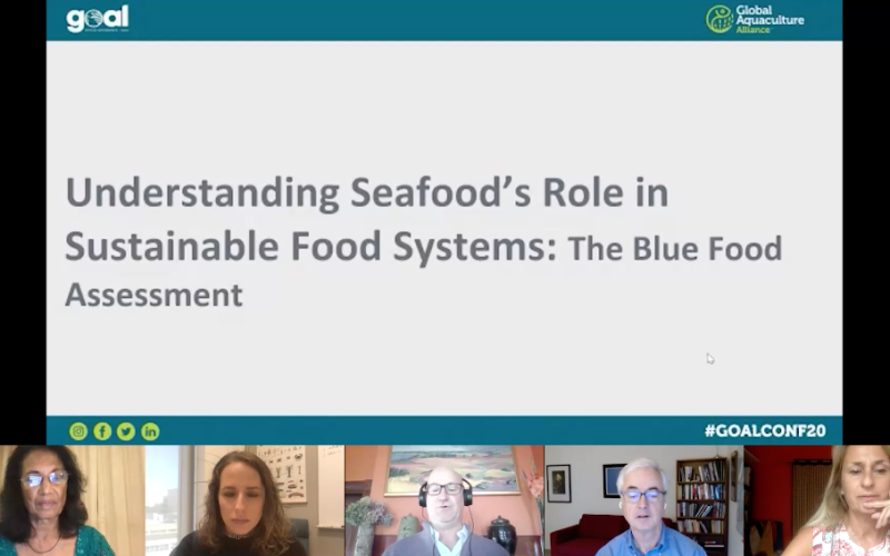 Understanding Seafood's Role in Sustainable Food Systems: The Blue Food Assessment