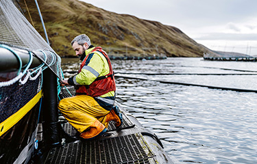 Salmon Farmer Lands Sustainability Award | SeafoodSource