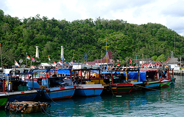 Perusahaan perikanan Indonesia Kanzun menyangkal JV dengan China Ocean Group