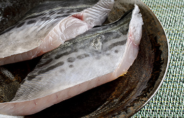 New Australian mackerel controls strike delicate balance | SeafoodSource