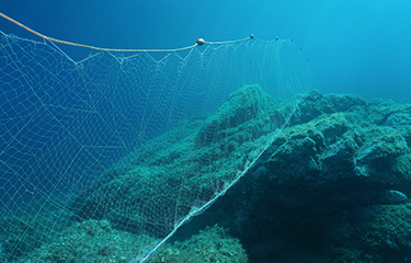 ban on drift net fishing US Senate approves drift gillnet ban again