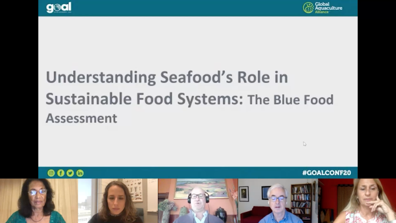 Understanding Seafood's Role in Sustainable Food Systems: The Blue Food Assessment